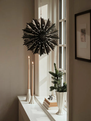 Stern Holzfurnier Venja M funghi Broste Copenhagen