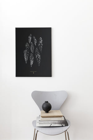 Poster Wandbild Begonie Maculata - anikoo Interior and Lifestyle Conceptstore